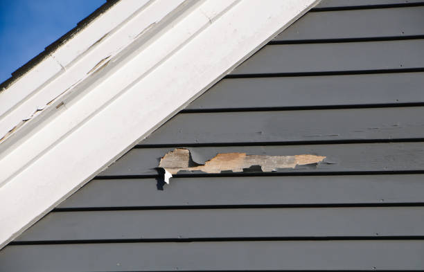 Reliable Lakeview, OR Junk Removal Solutions